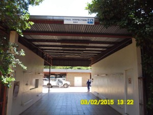 SAM_3019